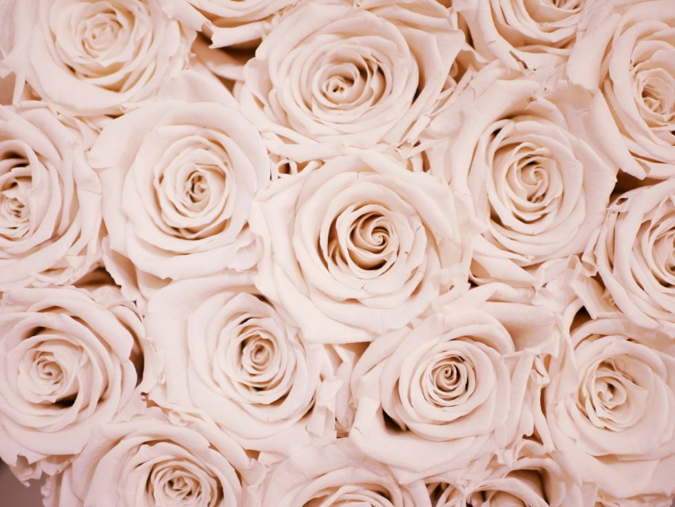 lauza-loistl-pkFo3Lm-d0s-unsplash
