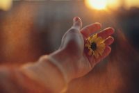 liana-s-xe3qecgwMqE-unsplash