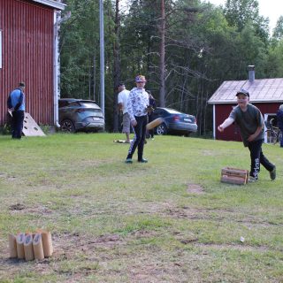 lohva, mölkkyu