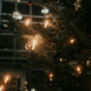 luise-and-nic-JjamNj-RKq8-unsplash