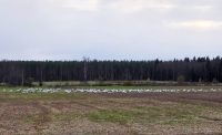 Lukijan kuva_NinaHietala