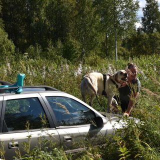 Lystilehto_Jenna-4