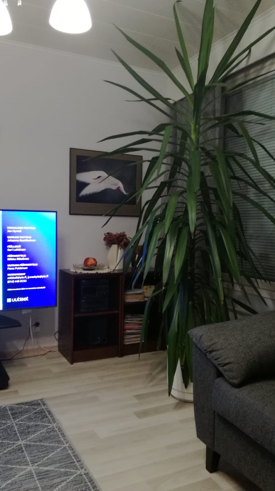 MaijaAaltokosken_jukkapalmu