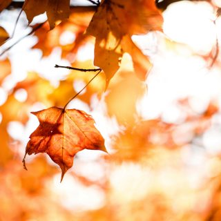 matt-uuBBew6g2jM-unsplash