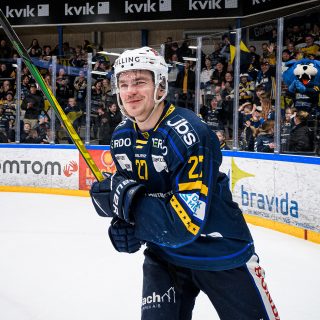 miskahumaloja, HERNING BLUE FOX