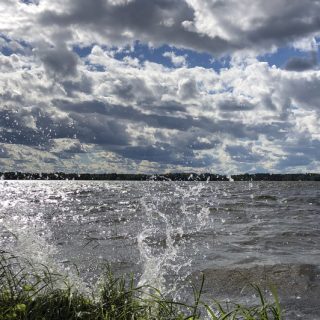 myrsky