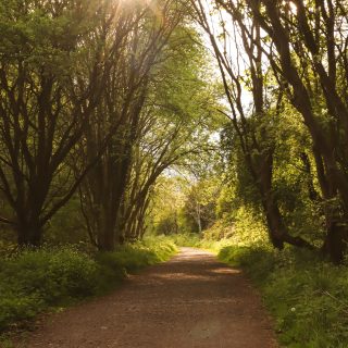 nathan-eddy-gTq9mkxTFG8-unsplash