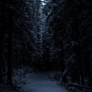 neil-rosenstech-KG-9TUrAFsg-unsplash