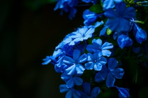 nicolo-caredda-6gANELT5suc-unsplash