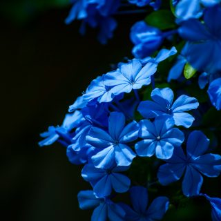 nicolo-caredda-6gANELT5suc-unsplash