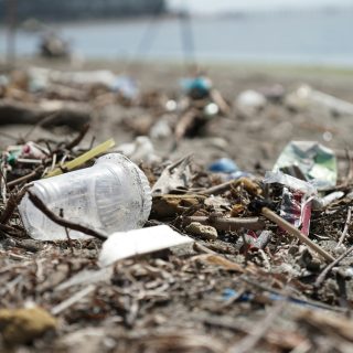 ocg-saving-the-ocean-TD1oGnkpQ0E-unsplash