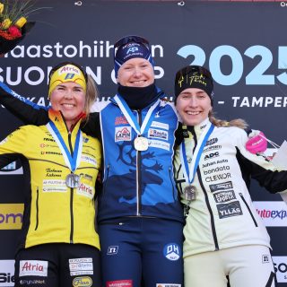 OonaKettusenHopea_TouhoHakkinen