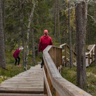 pääkuva__honkavuori-jaana-6-1-scaled-e1696417936406