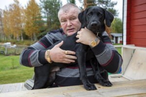 paini veikko nissilä ja labbis topi 5kk