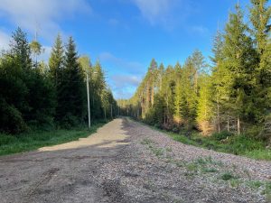 Pellikka Minna Montonen
