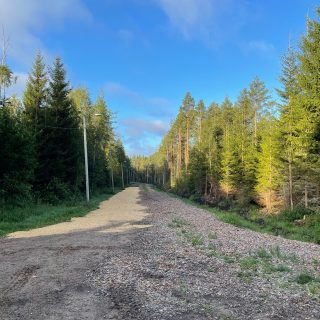 Pellikka Minna Montonen