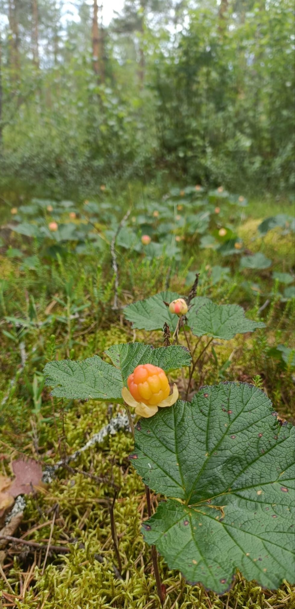 PHOTO-2025-08-12-01-02-18