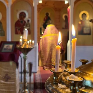 PJ_ort_rukoushuone_Jaana