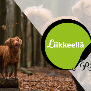 PS netti Liikkeellä koira metsästys2