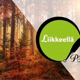 PS netti Liikkeellä metsä