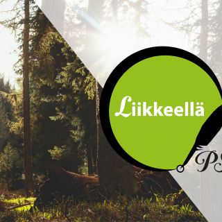 PS netti Liikkeellä metsä2