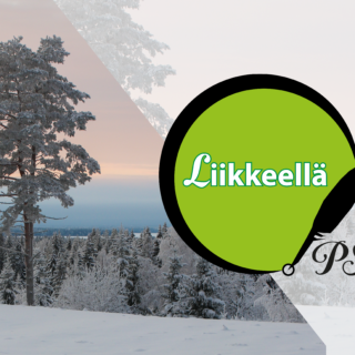 PS netti Liikkeellä talvi-01