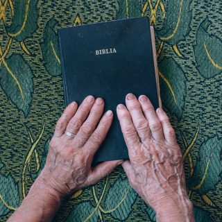 raul-petri-AdWDaFEJfDY-unsplash