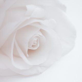 ray-albrow-_TAFqMVuEb0-unsplash