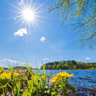 RentukatPyhäjärvi_Laitalainen