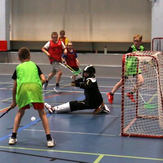 sähly6