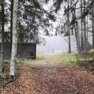 säveliä surusta puffiin kuva