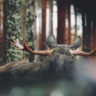 serge-taeymans-7G4fK0qUkcg-unsplash
