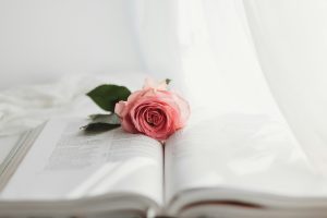 sixteen-miles-out-yywDVVmHa-M-unsplash