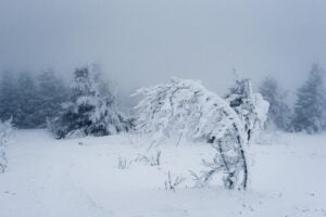 snow-3241250_1920