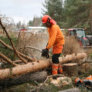 Solar Forest Oy Röhörannan klapi JQ-1