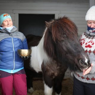 Sounds for Horses Johanna Ikonen ja Eveliina Virtanen SK-02