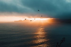 sunnuntai_unsplash