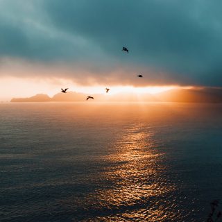 sunnuntai_unsplash