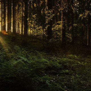 sunset-5235908_1280