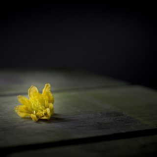 sven-brandsma-koh2h2oPU6Y-unsplash