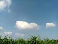take-away-Be315NZanhE-unsplash