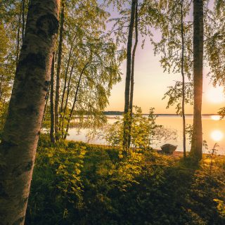 tapio-haaja-YwfXOmnfdqs-unsplash
