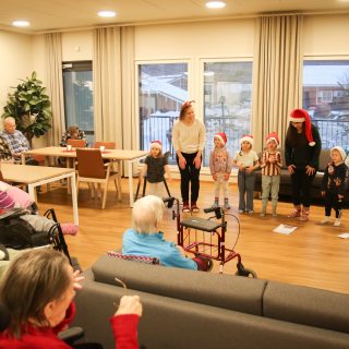 Tomerat Attendolla SR-02