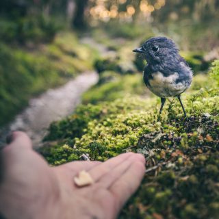 trust-unsplash