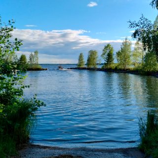 uistelu_Julkunen