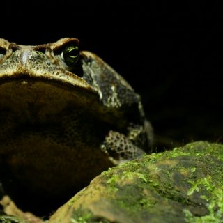 ulrike-langner-MP8IUi1LfPg-unsplash