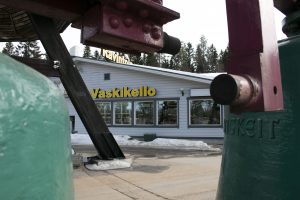 Vaskikello_Jaana_4