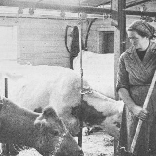 VKO41 50v Anna-Liisa Tikanmäki 11.10.1973