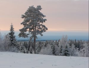 Vuohtomäki SK