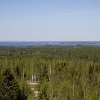 Vuohtoniemi_Jaana